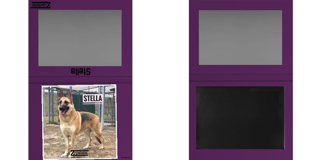 Custom Extra Large Z Palette