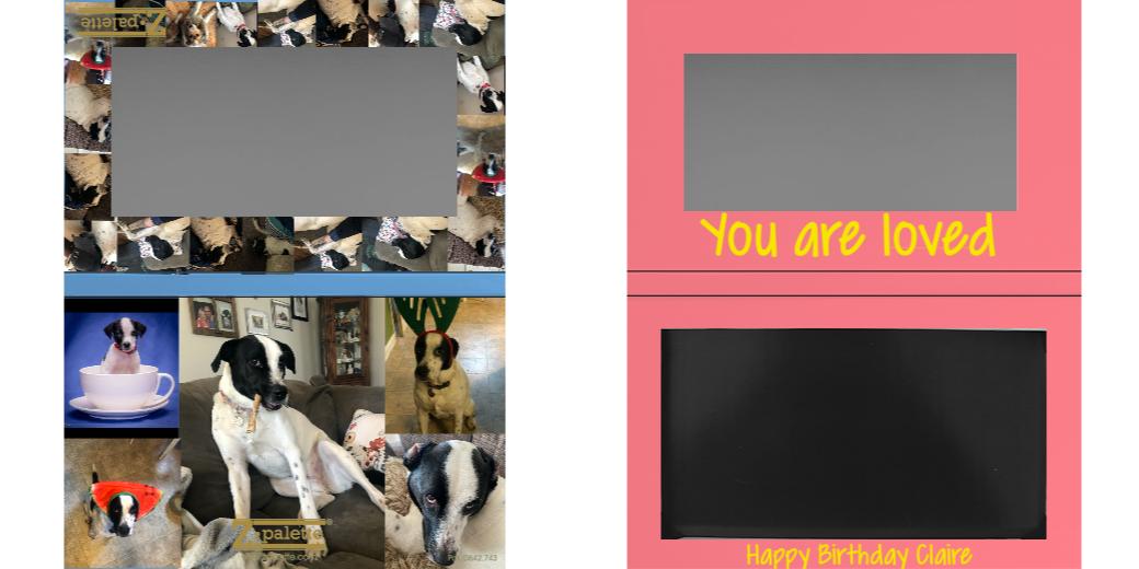 Custom Medium Deep Z Palette