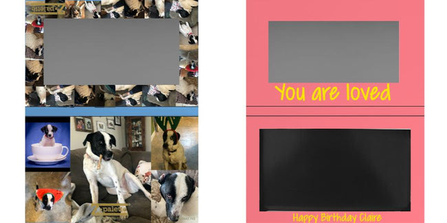 Custom Medium Deep Z Palette