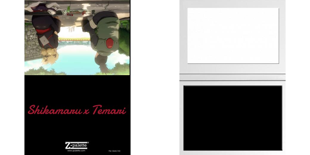 Custom Junior Z Palette