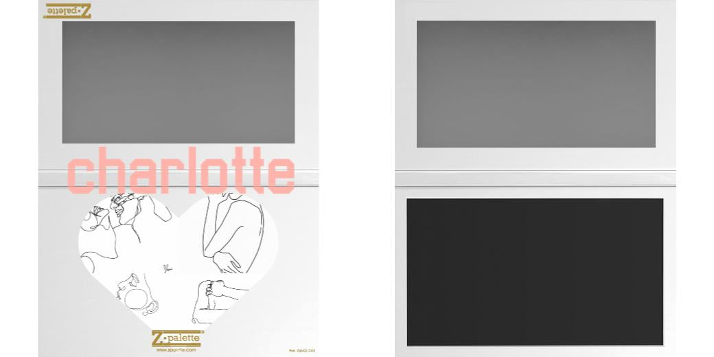 Custom Large Z Palette