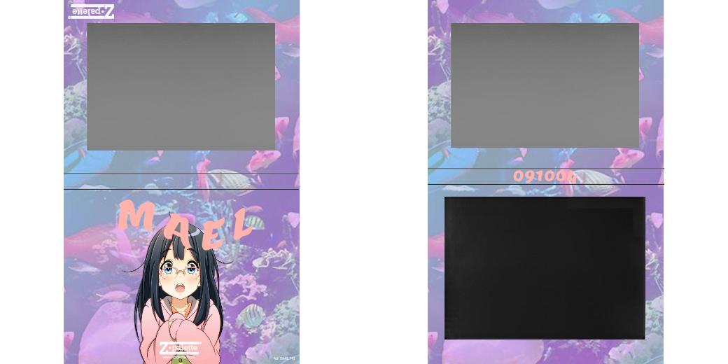 Custom Extra Large Z Palette