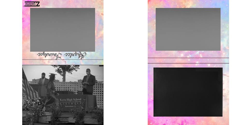 Custom Extra Large Z Palette