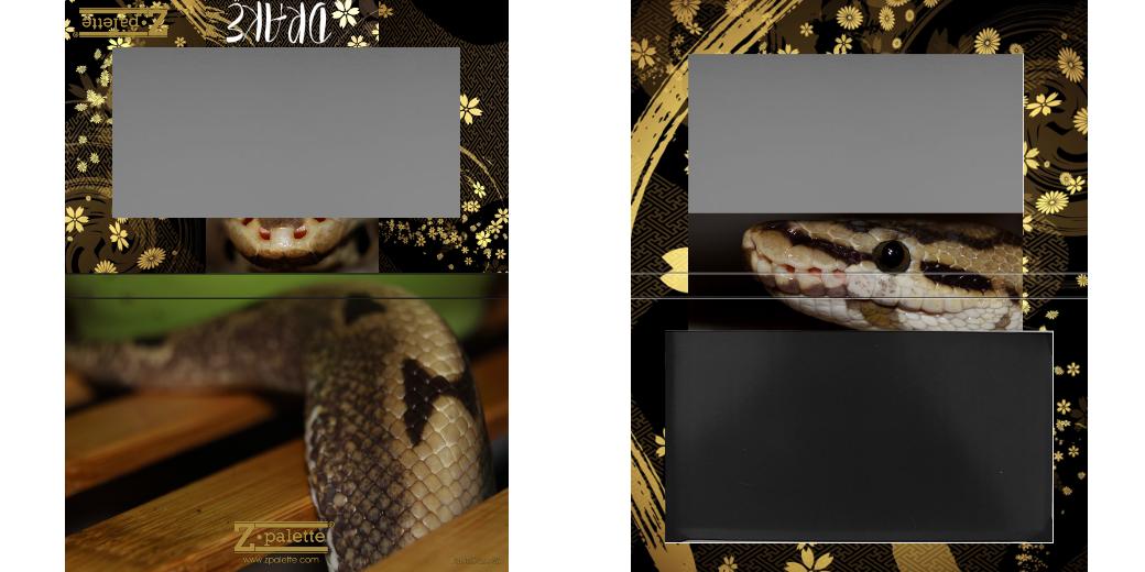 Custom Medium Deep Z Palette