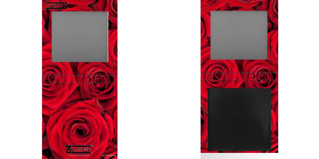 Custom Small Z Palette