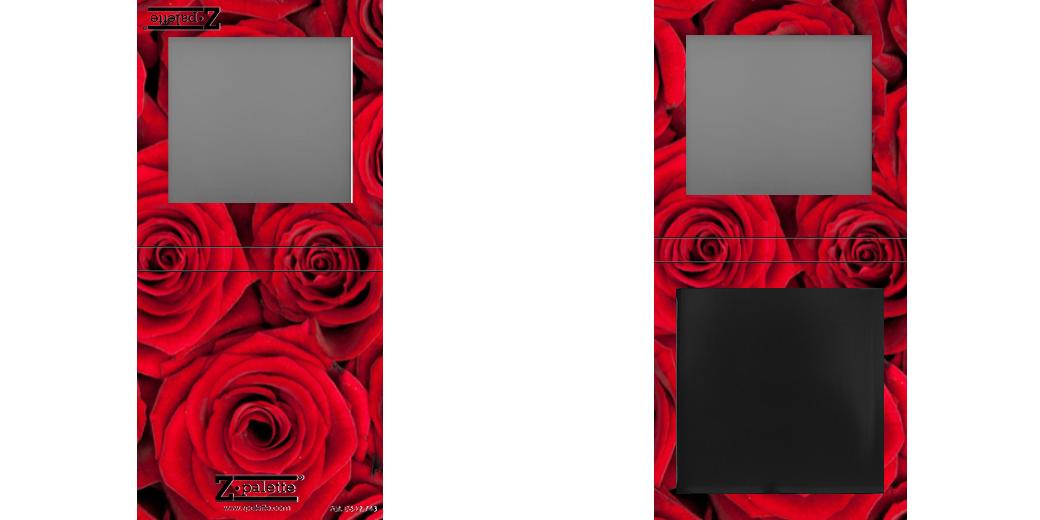 Custom Small Z Palette