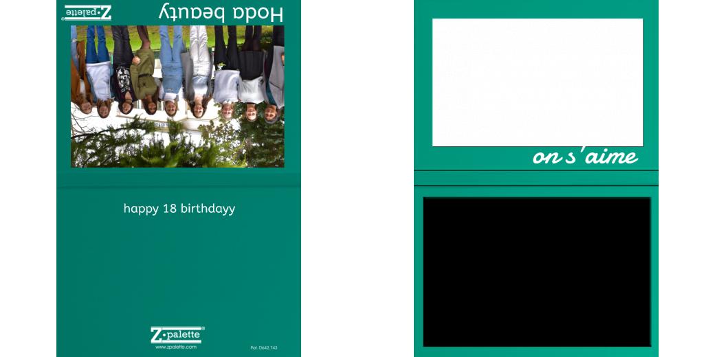 Custom Junior Z Palette