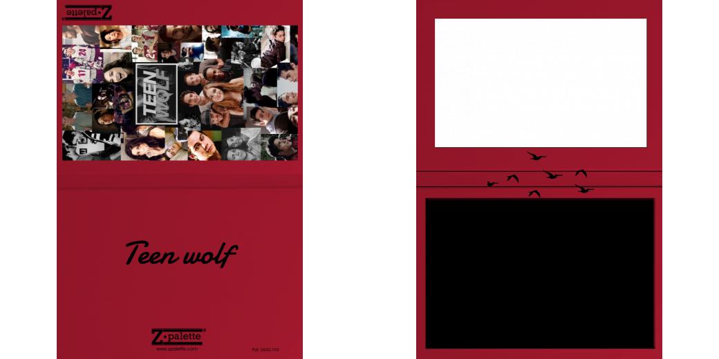 Custom Junior Z Palette