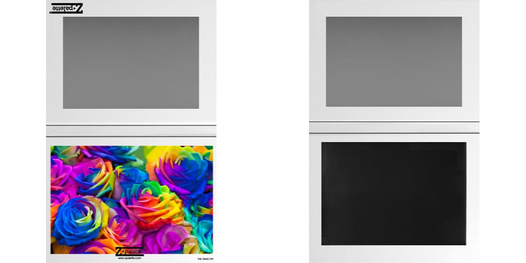 Custom Extra Large Z Palette