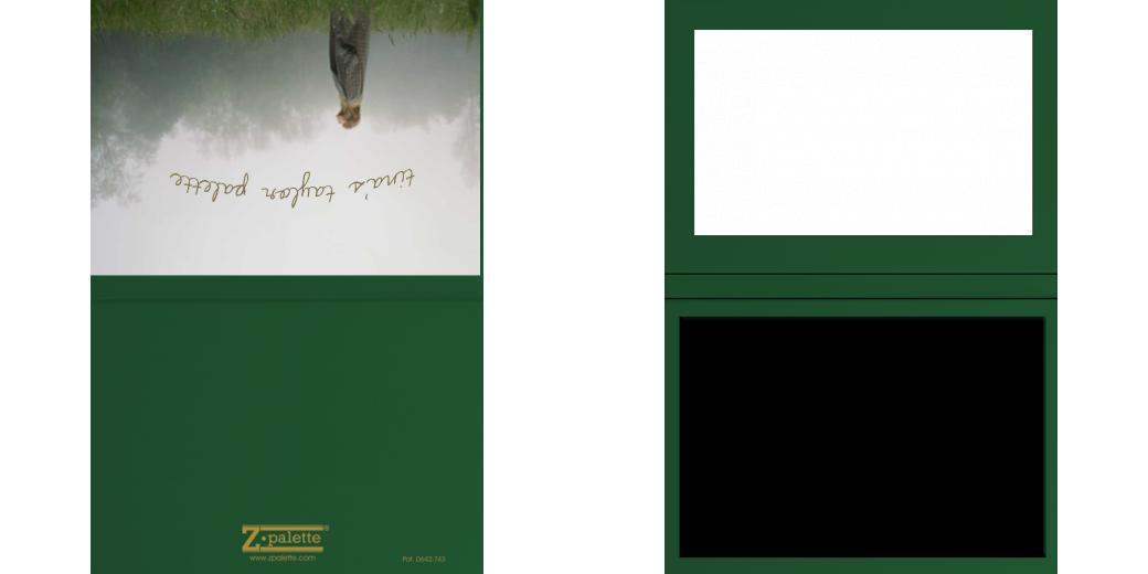 Custom Junior Z Palette