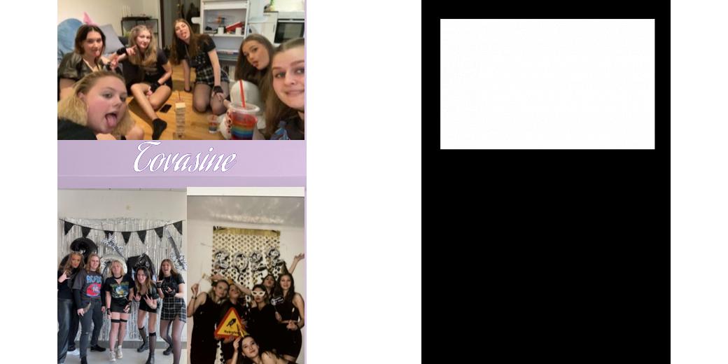 Custom Junior Z Palette