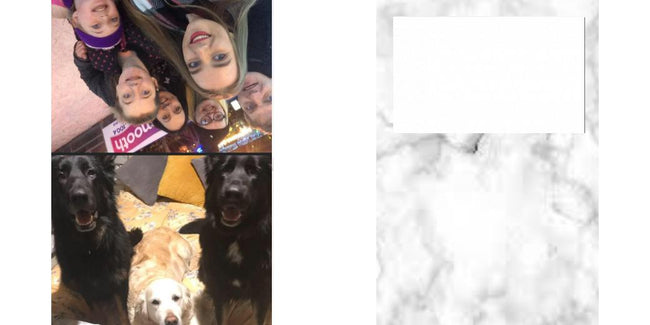 Custom Junior Z Palette