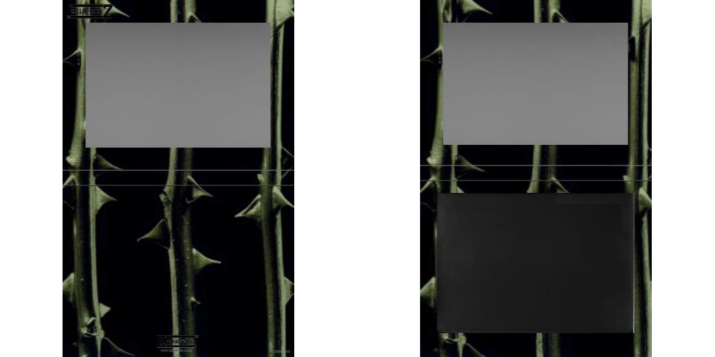 Custom Extra Large Z Palette