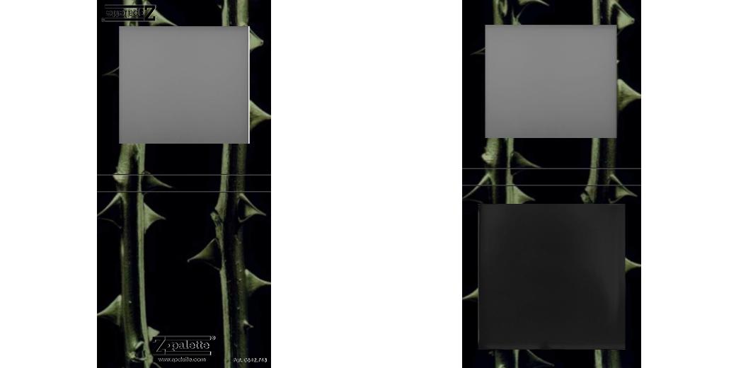 Custom Small Z Palette