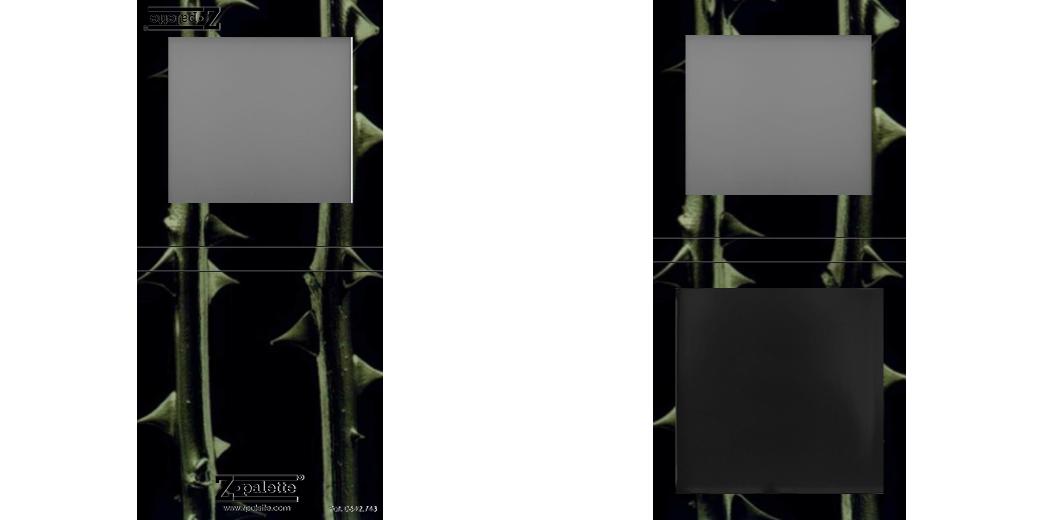 Custom Small Z Palette