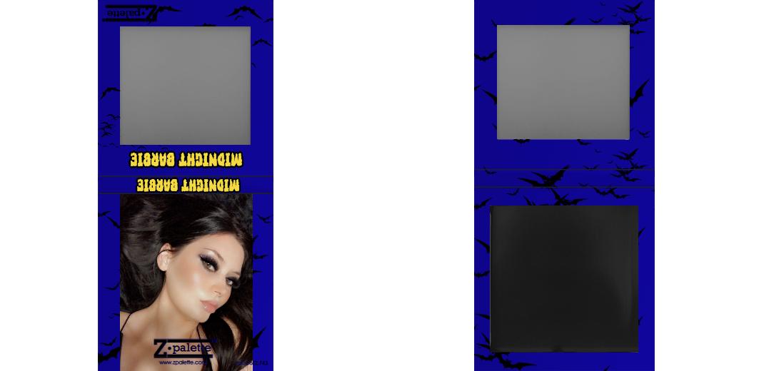 Custom Small Z Palette