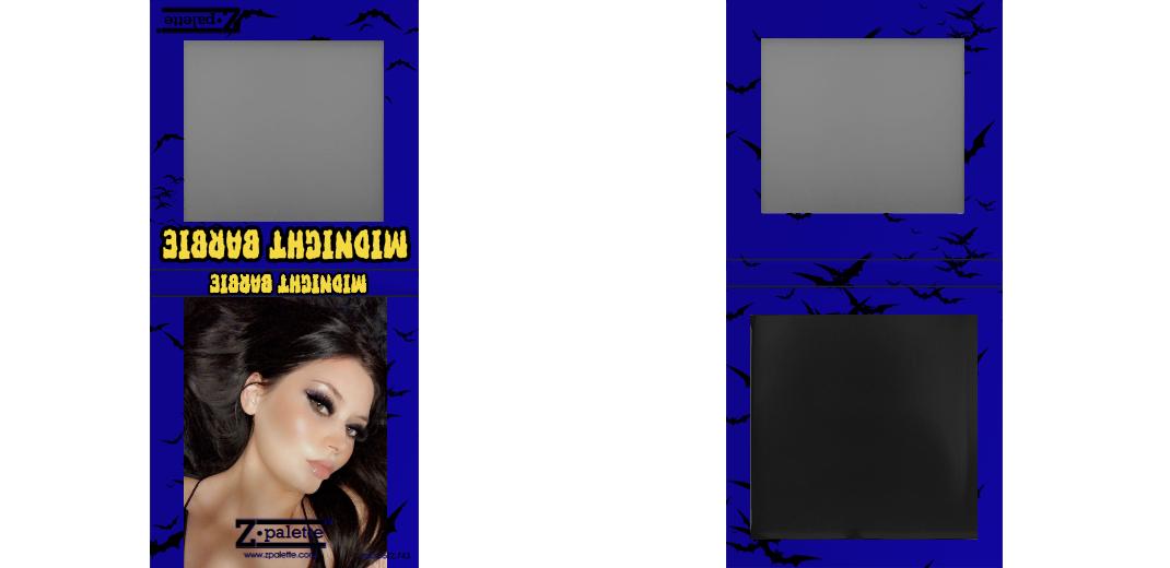 Custom Small Z Palette