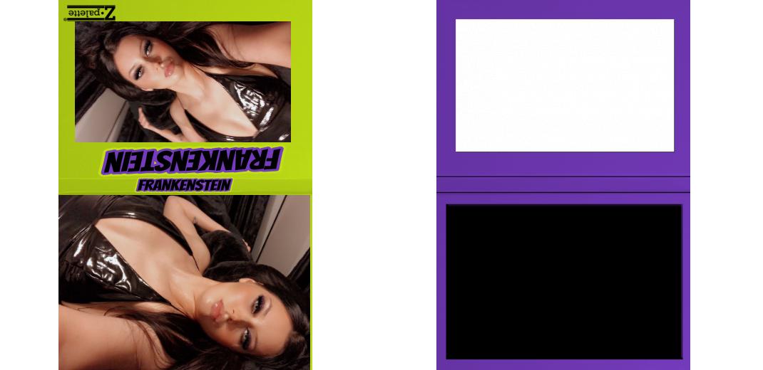 Custom Junior Z Palette